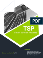 Team Software Process (TSP)