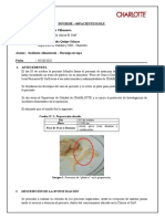 Informe - 04PACIENTEGLOF - Incidente Alimentario (Hormiga Sopa)