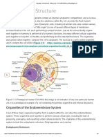 Cell Structure PDF