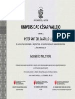Universidad César Vallejo: Peter Smit Del Castillo Llorca