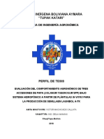 Evaluación del comportamiento agronómico de tres accesiones de papa bajo sistema hidropónico