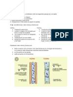 Taller N 2° Biologia