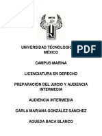 Audiencia Intermedia PDF