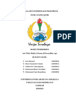 Makalah Patofisiologi Praktikum