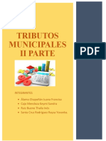 GRUPO VII - TRIBUTOS MUNICIPALES PARTE II (1)