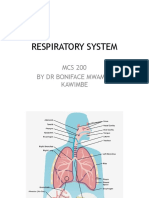 MCS 200 - 9 - Respiratory System