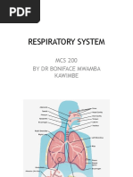 MCS 200 - 9 - Respiratory System