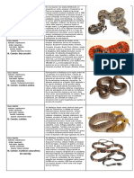 Informe de Verte Serpientes