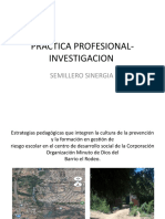 Practica Profesional - Investigacion