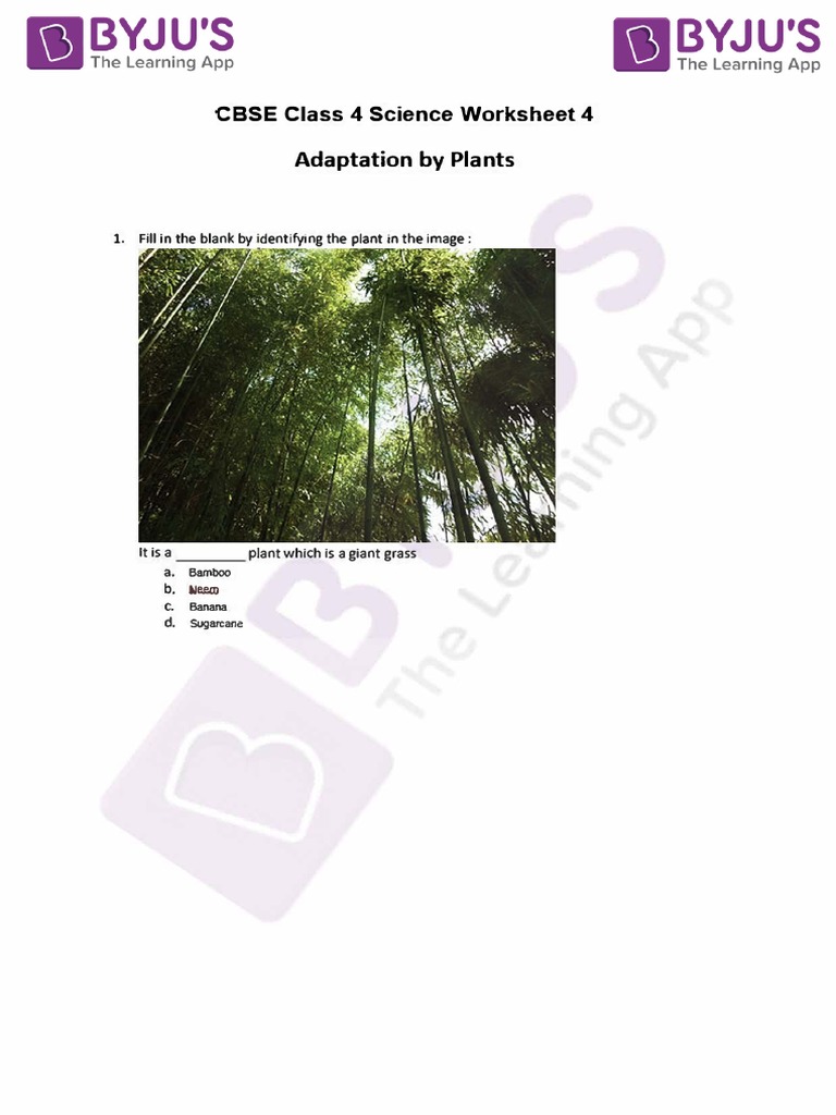 CBSE Class 4 Science Worksheets 4 | PDF