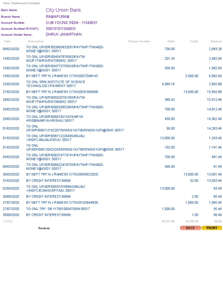 City Union Bank Mini Statement | PDF | Service Industries | Services ...