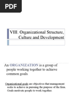 VIII. Organizational Structure, Culture and Development