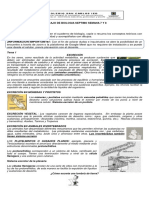 Dana. 7. SEPTIMO. GUIA DE BIOLOGIA SISTEMA EXCRETOR (I) PDF