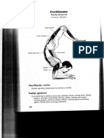 Anatomija Joge 15.dio PDF