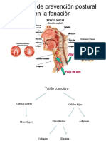 curso fono (1).pptx