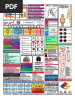 Escala de WOB en Evaluación Respiratoria | PDF