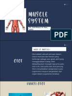 Muscular System