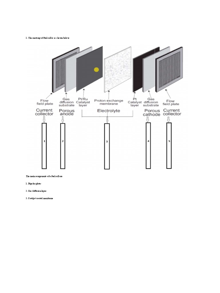 Components and Operation of Fuel Cell PDF Fuel Cell Electrochemistry