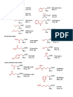 _ Protein Amino Acid Structures.pdf