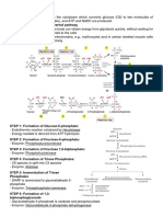 Glycolysis and CItric Acid Cycle PDF