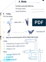birds revision.pdf