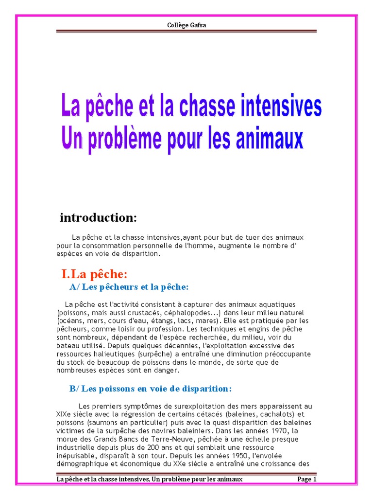 La Peche Et La Chasse Intensives Docx Surpeche Chasse