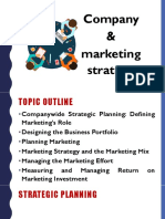 Company & Marketing Strategy