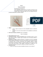 guia radiologia #4 empezada23