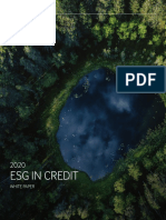 Fitch Ratings - ESG in Credit 2020 PDF