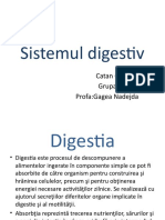 Sistemul Digestiv