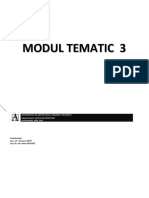 Modul Tematic 3