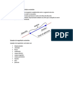 Características de Las Magnitudes Vectoriales