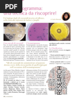 aromatogramma
