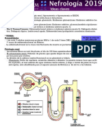 NEFROLOGÍA