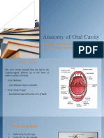 Anatomy and Disorders of the Oral Cavity