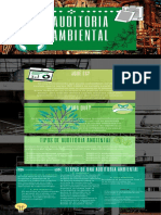 Guia 3 Poster Auditoria Ambiental PDF