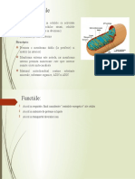 Mitocondriile