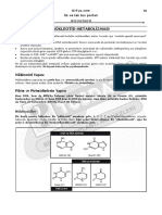 20-Nükleotid Metabolizması