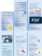 Pleglable 1 y 2 Etapas de La Investigacion PDF