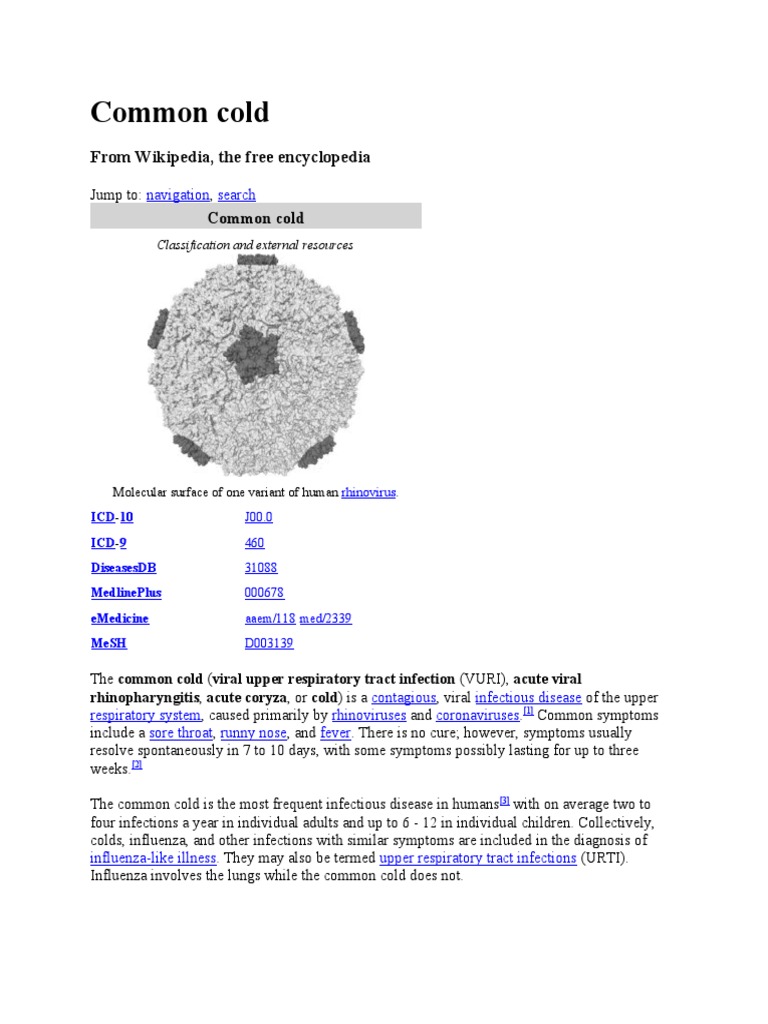 Common Cold PDF Common Cold Infection