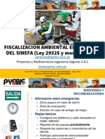 11 - Fiscalización Ambiental en El Marco Del SINEFA PYMIS 2020