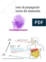 Mecanismo de Propagación y Transmisión Del Entamoeba