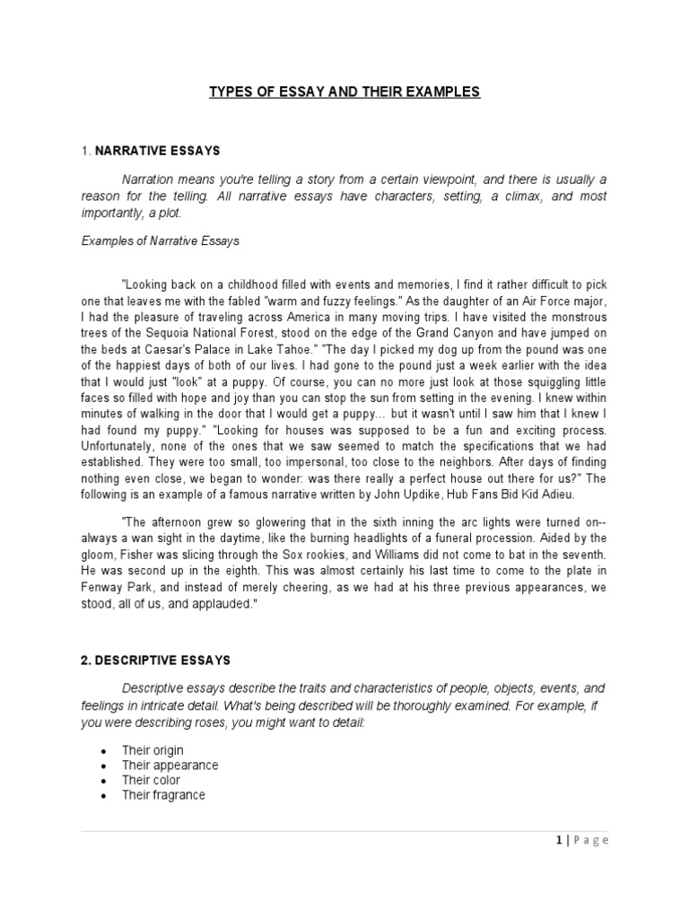 Types of Essay and Their Examples | PDF | Second Amendment To The ...