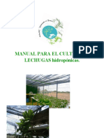 Manual para El Cultivo de Lechugas Hidroponicas