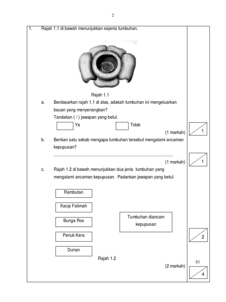 Perlis Kertas 2 Pdf