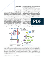 In This Issue... : Il-31 Expression by Inflammatory Cells Is Preferen-Tially Elevated in Atopic Dermatitis