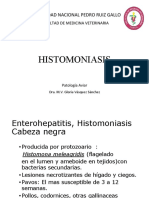 12 Histomoniasis