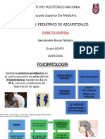 Diabetes Insípida. Natalia Hernández PDF
