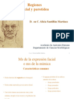 3. Regiones Facial y Parotidea.pptx