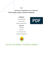 Acculturation Model - Tanzil PDF